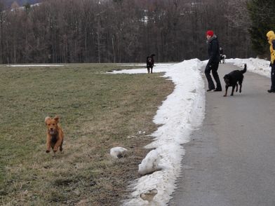 Leila, Benja & Barolo